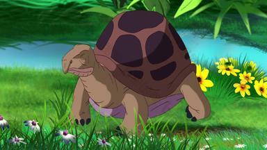 大棕色（的）大象乌龟吃草